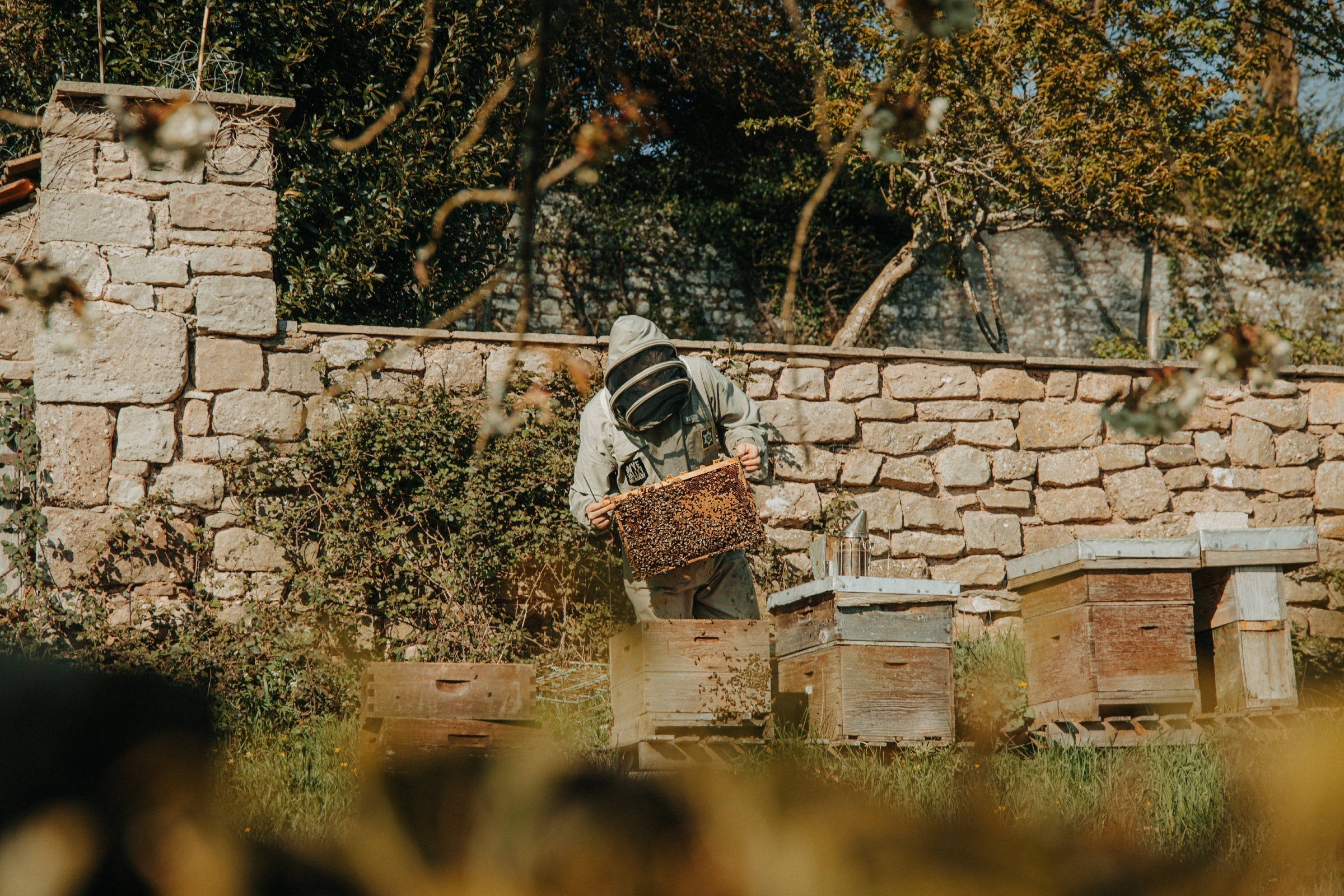 Bee Facts You Probably Didn’t Know