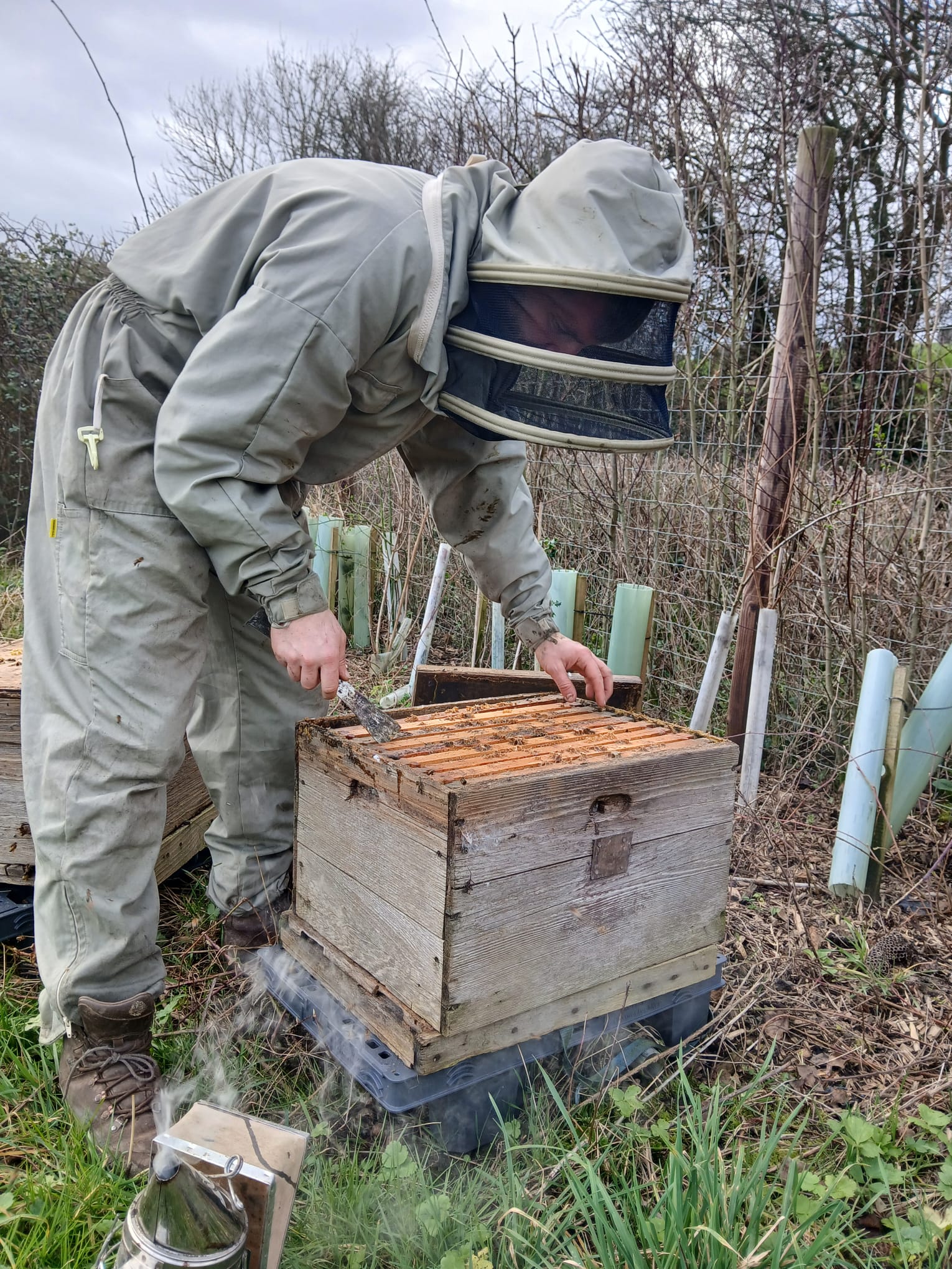 Winter Beekeeping