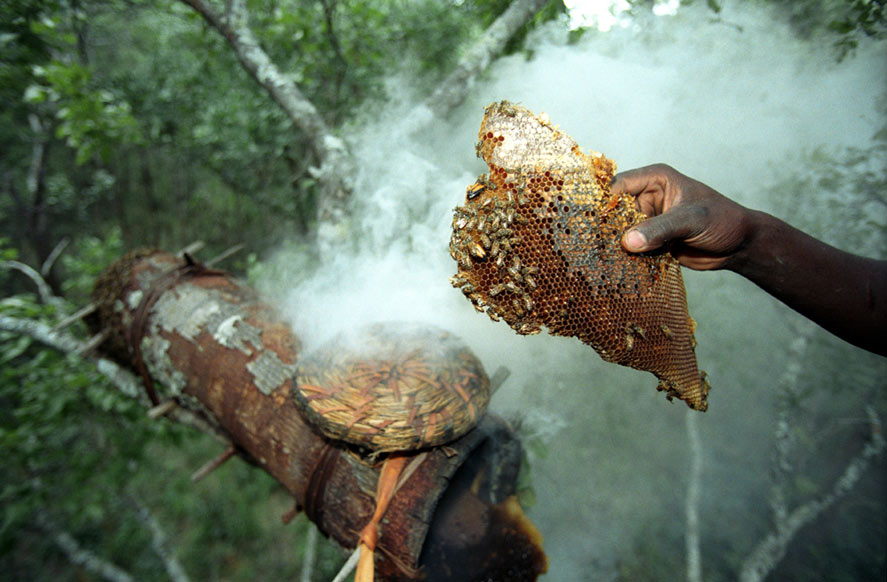 
                  
                    Zambian Honey - Traditional Mead
                  
                