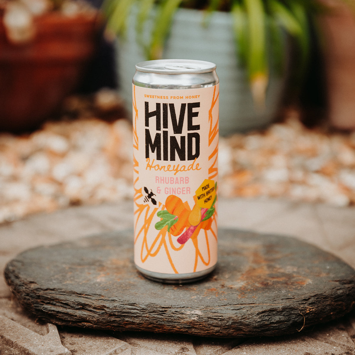 Honeyade: Rhubarb & Ginger