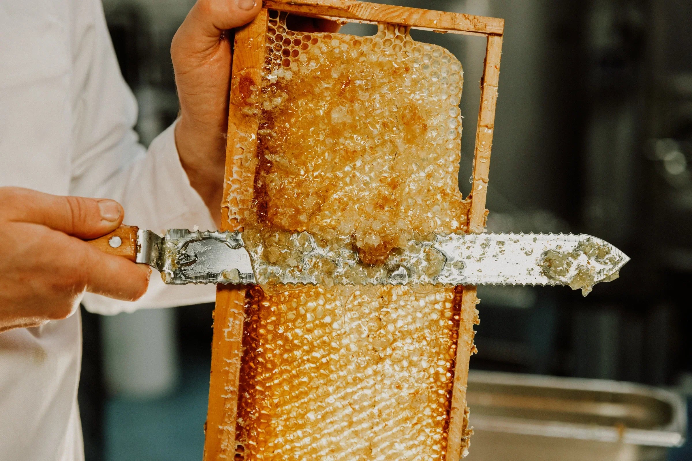 honey being scraped from hive