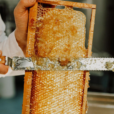 6 Frame Nucleus Bee Hive (Bee hive starter kits) COLLECTION ONLY