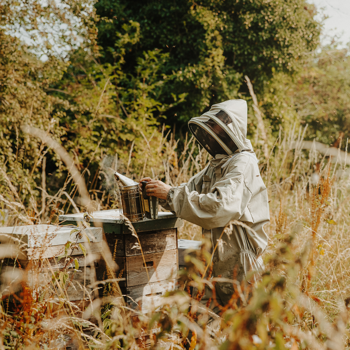 Wye Valley Honey 300g