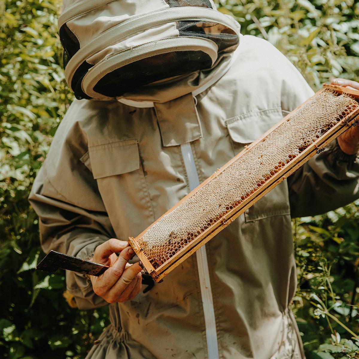 Group Beekeeping Course