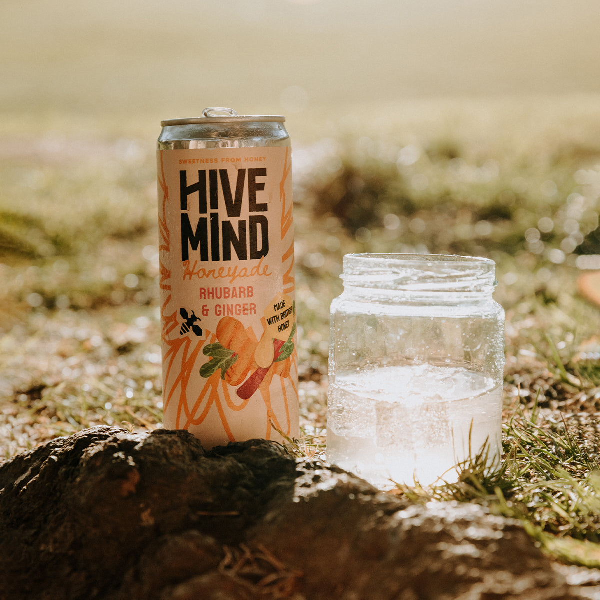 Honeyade: Rhubarb & Ginger