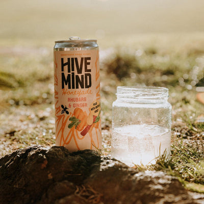 Honeyade: Rhubarb & Ginger