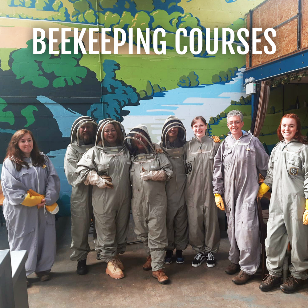 Group Beekeeping Course Voucher