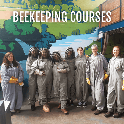 Group Beekeeping Course